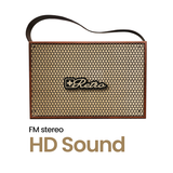 Swiss Military BT SPEAKER - RETRO CLASSIC 1.0 20W Bluetooth Speaker