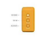Saregama Carvaan Mini 2.0 Gurbani- Music Player with Bluetooth/FM/AM/AUX (Saffron Orange)