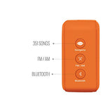 Carvaan Saregama Mini 2.0 Shrimad Bhagavad Gita- Music Player with Bluetooth/FM/AM/AUX (Saffron Orange)