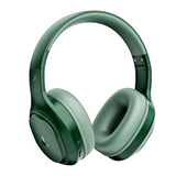 #color_Sage Green