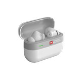 SWISS EARBUDS DAPPLE